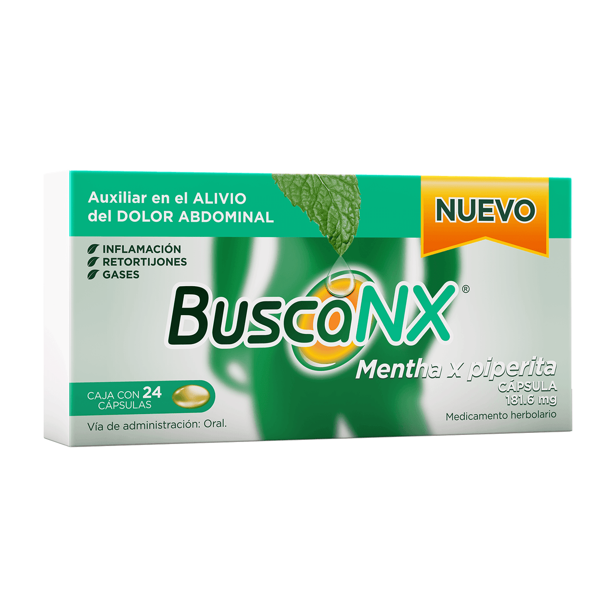 Buscanx 181.6 Mg Mta-Pipe Con 24 Capsulas