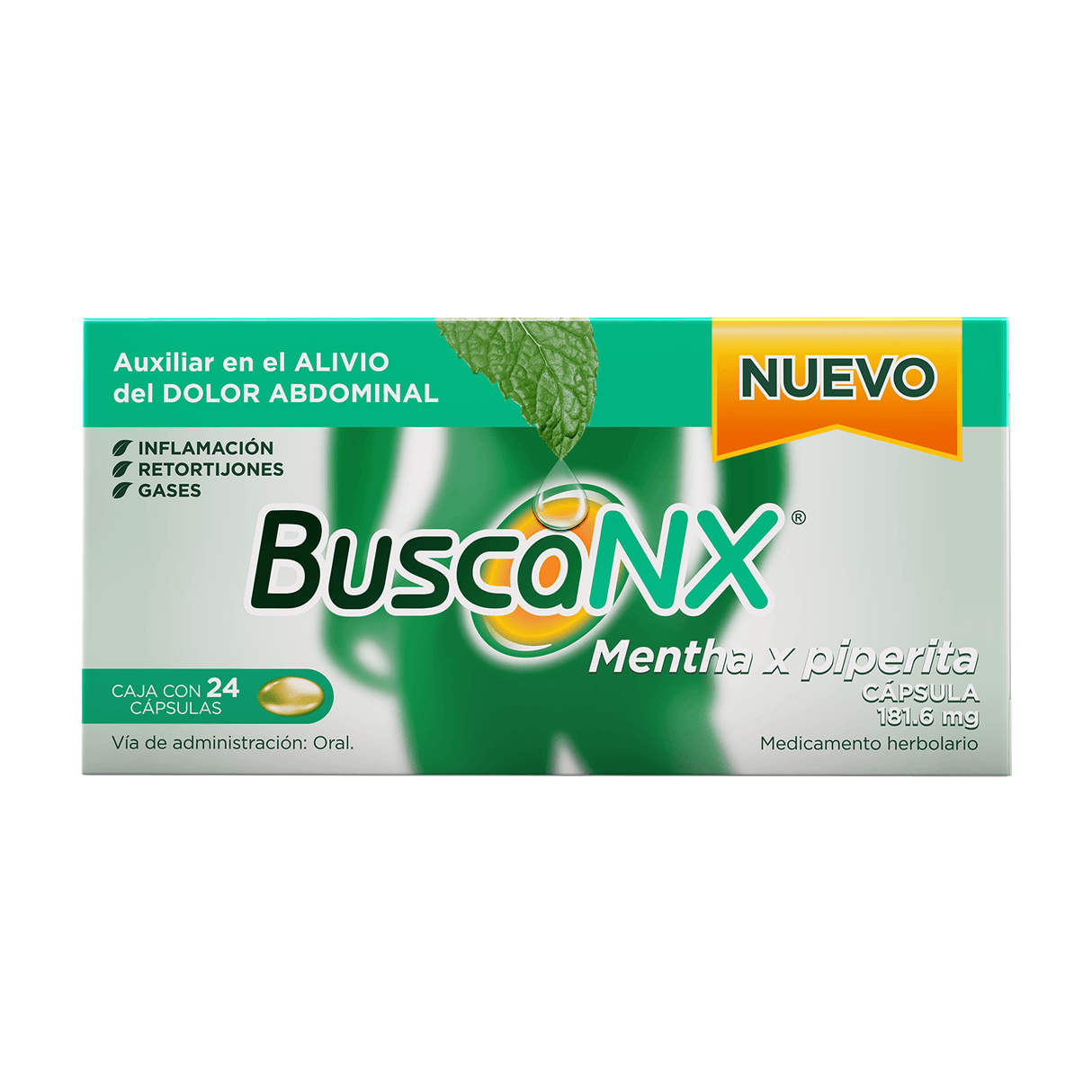 Buscanx 181.6 Mg Mta-Pipe Con 24 Capsulas