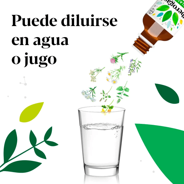 Iberogast Frasco 20 Ml Sol