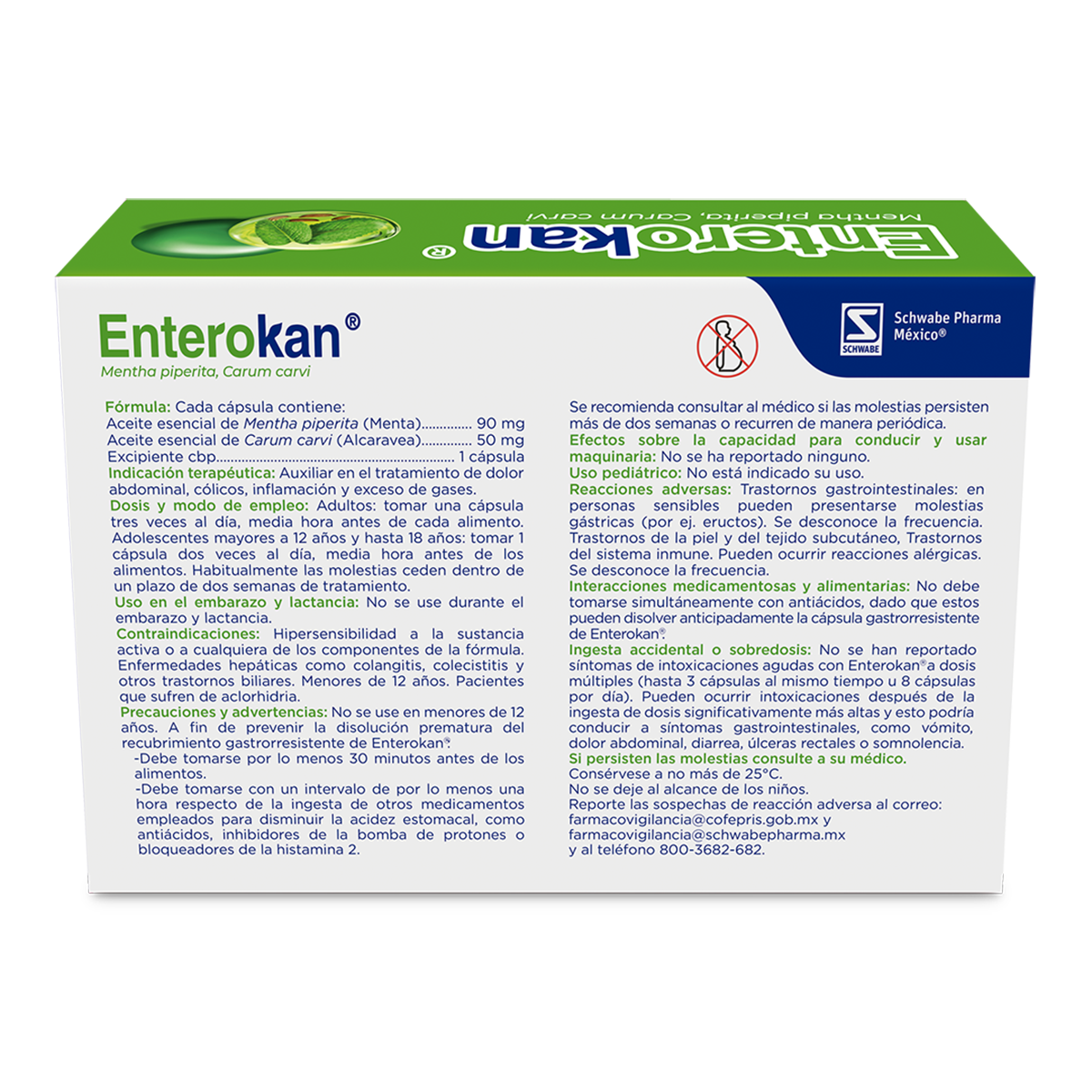 Enterokan 28 Capsulas