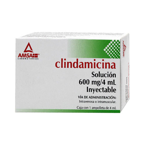 Clindamicina 600 Mg / 4 Ml Amsa Generico