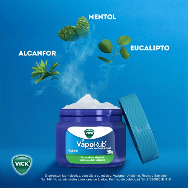 Vick Vaporub Reg 100 Gr