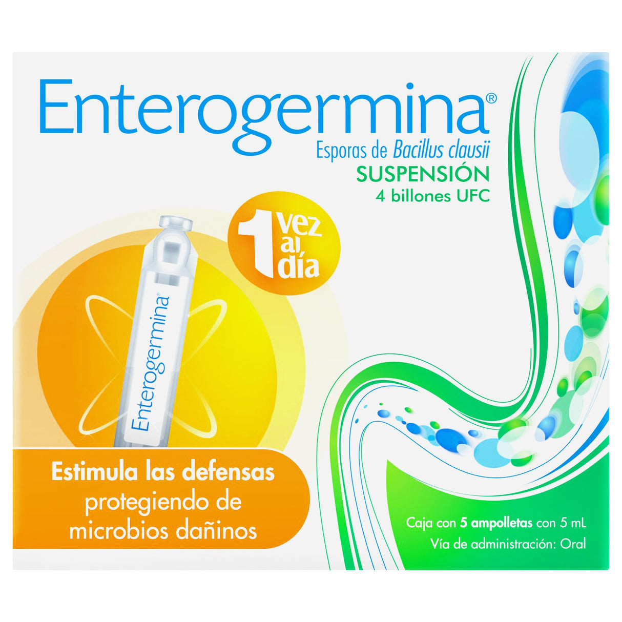 3664798044959-Enterogermina 4B Suspension Oral 5X5 Ml Ampulas-1