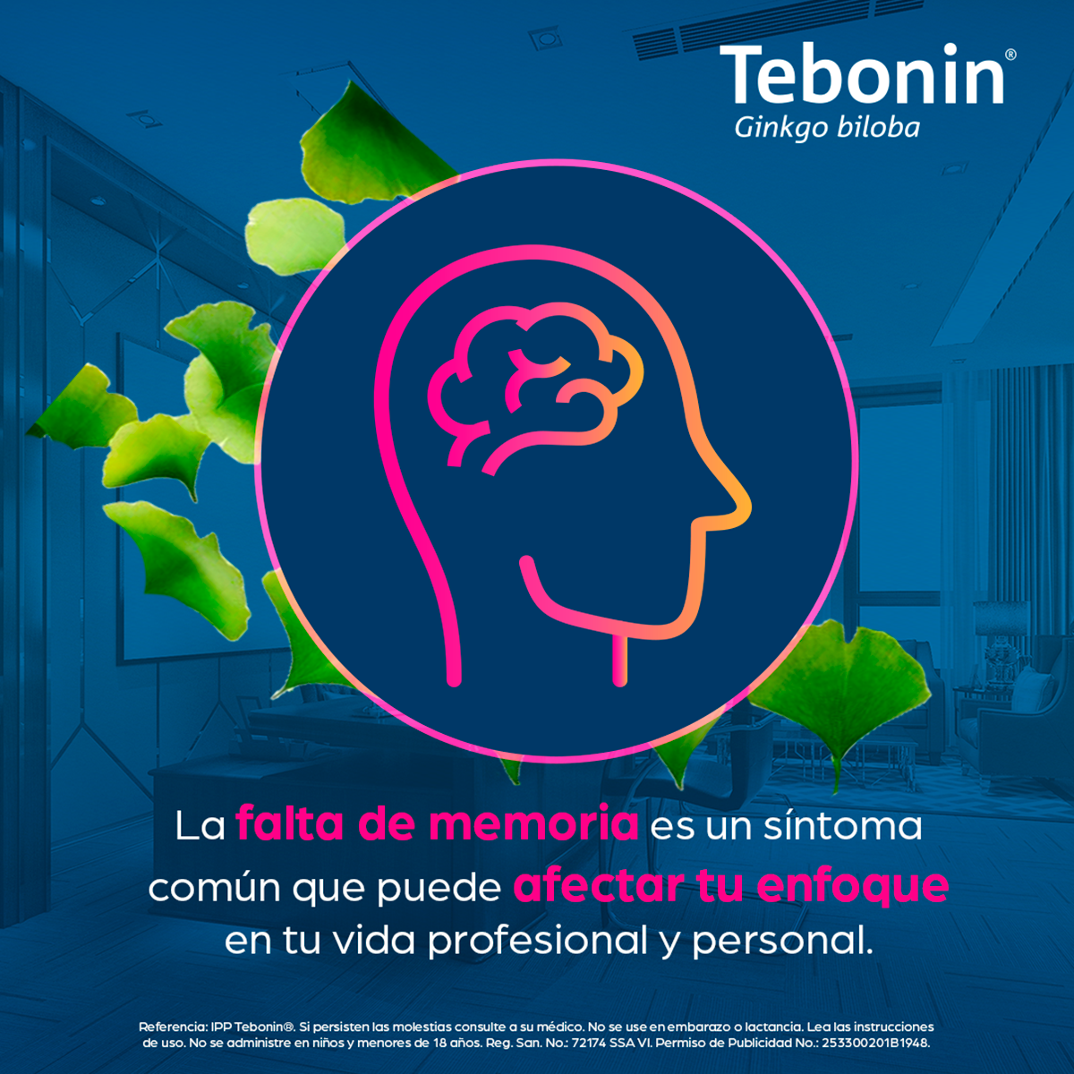 Tebonin 761 40 Mg Con 24 Comprimidos