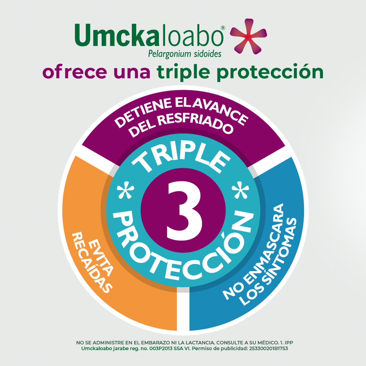 Umckaloabo Jarabe Inf 100 Ml N