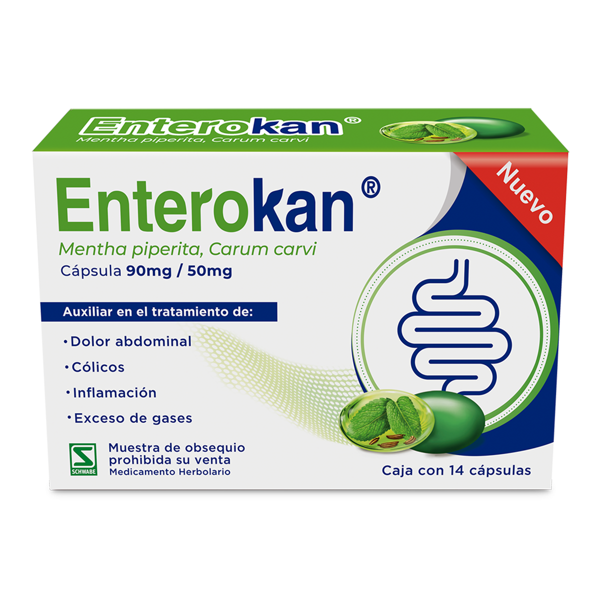Enterokan 28 Capsulas