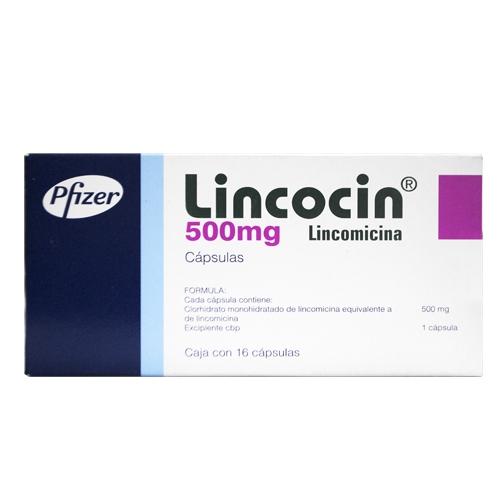 Lincocin 500 Mg Con 16 Capsulas