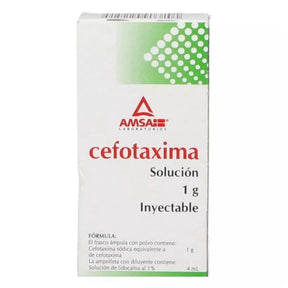 Cefotaxima Im 1 Gr Amsa Generico