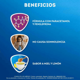 Vick Pyrena 5 Gr Con 5 Sobres