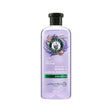 Shampoo Anti-Frizz Lavanda Y Aceite De Almendras 400Ml 7500435193733